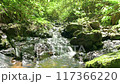 A clear stream flowing through the forests of Mount Takao 117366220