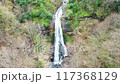 Aerial waterfall and forest 117368129