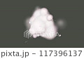 雲のようなパーティクル 117396137