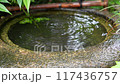 Drops of water falling into a basin 117436757