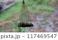 Summer rain 117469547