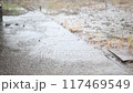 Summer rain 117469549