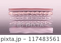 Laser skin collagen-boosting treatment. Stylized wrinkled skin layers before and smooth tightened after the session of modern beauty procedure with laser devices. 3D animation 117483561