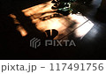 観葉植物の揺れ動く影 / 光と影のモーション 117491756