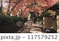 京都在秋天 117579252