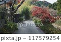京都在秋天 117579254