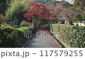京都在秋天 117579255
