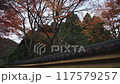 京都在秋天 117579257