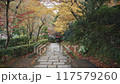 京都在秋天 117579260