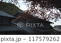 京都在秋天 117579262