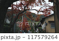 京都在秋天 117579264