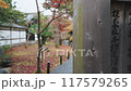 京都在秋天 117579265