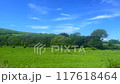 Sheep farming in the English countryside, British livestock industry, farm fields and agriculture concept 117618464