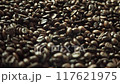 咖啡豆的集合 117621975