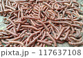 Millipede animals video with selective focus 117637108