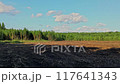 Deforested landscape panorama 117641343