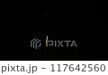打ち上げ花火 117642560