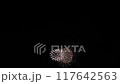 打ち上げ花火 117642563
