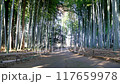 A traditional Japanese landscape with fresh green bamboo 117659978