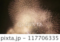 明亮的煙火 117706335