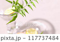 Leaf of a potted plant, lemon and grapefruit in a glass vase with sunlight shining in. 117737484