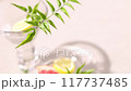 Leaf of a potted plant, lemon and grapefruit in a glass vase with sunlight shining in. 117737485