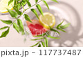 Leaf of a potted plant, lemon and grapefruit in a glass vase with sunlight shining in. 117737487