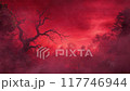 Leafless tree branches silhouette on a red background, dark gloomy forest animation motion background 117746944
