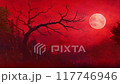 Leafless tree branches silhouette on a red background, dark gloomy forest animation motion background 117746946