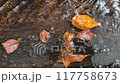 Autumn leaves floating in the stream in Snake Garden 117758673
