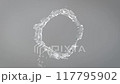 回転する水の流れの輪 117795902