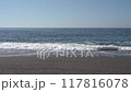 Katsurahama beach scenery 117816078