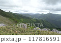 Shikoku Karst scenery on a windy day 117816591