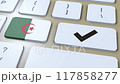 Algeria National Flag and Check Mark or Yes Button 3D Animation 117858277