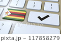 Zimbabwe National Flag and Check Mark or Yes Button 3D Animation 117858279