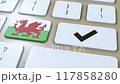 Wales National Flag and Check Mark or Yes Button 3D Animation 117858280
