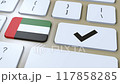 UAE United Arab Emirates National Flag and Check Mark or Yes Button 3D Animation 117858285