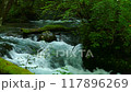 奧入瀨溪流石戶激流中的青苔和水流 117896269