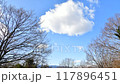 Autumn Breeze Timelapse 117896451