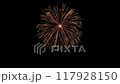 煙花 117928150