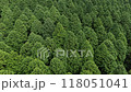 大分県由布市山林のドローン映像 118051041