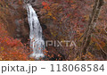 紅葉に染まる秋保大滝 118068584
