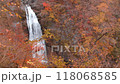 紅葉にそまる秋保大滝 118068585