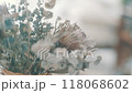 部屋に飾られたドライフラワー 118068602