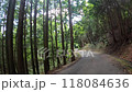 Safe driving on a narrow mountain pass surrounded by trees on both sides - two-wheeled, two-speed 118084636