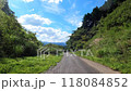 Descending a narrow mountain pass road surrounded by trees on both sides. Driving safely. Two-wheeled, two-speed. 118084852