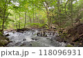 A stream during a hike 118096931