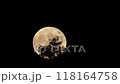 満月 118164758