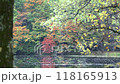 湖面に映る紅葉 118165913