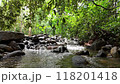 Waterfall for Thai people and foreign tourists to travel, relax, and unwind outdoors in the rainforest of Khao Yai National Park 118201418